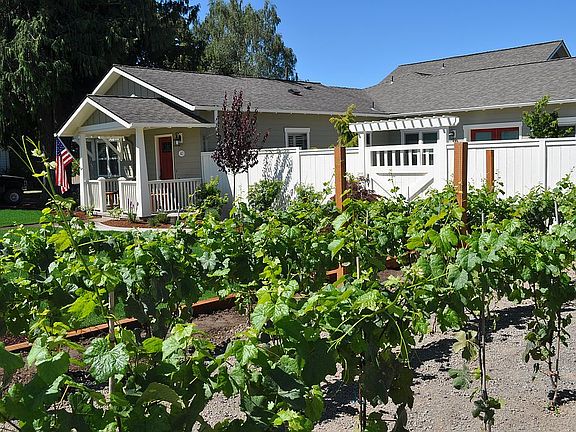 Front Entry & Vineyard