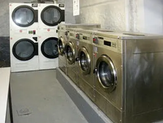 Rented by Bold New York