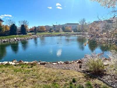 4835 Hahns Peak Dr #203, Loveland, CO, 80538