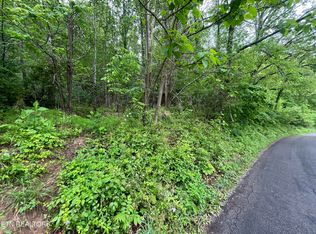 Valley Creek Rd, Dryden, VA 24243