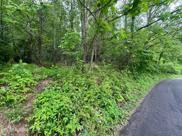 Valley Creek Rd, Dryden, VA 24243