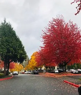 Sunset Highlands Apartments