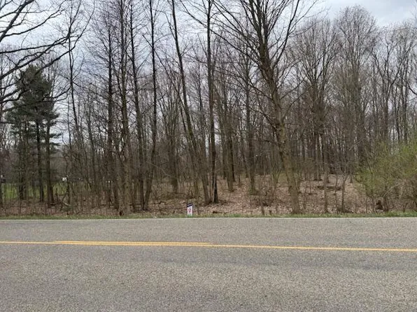 Rives Eaton Rd, Rives Junction, MI 49277