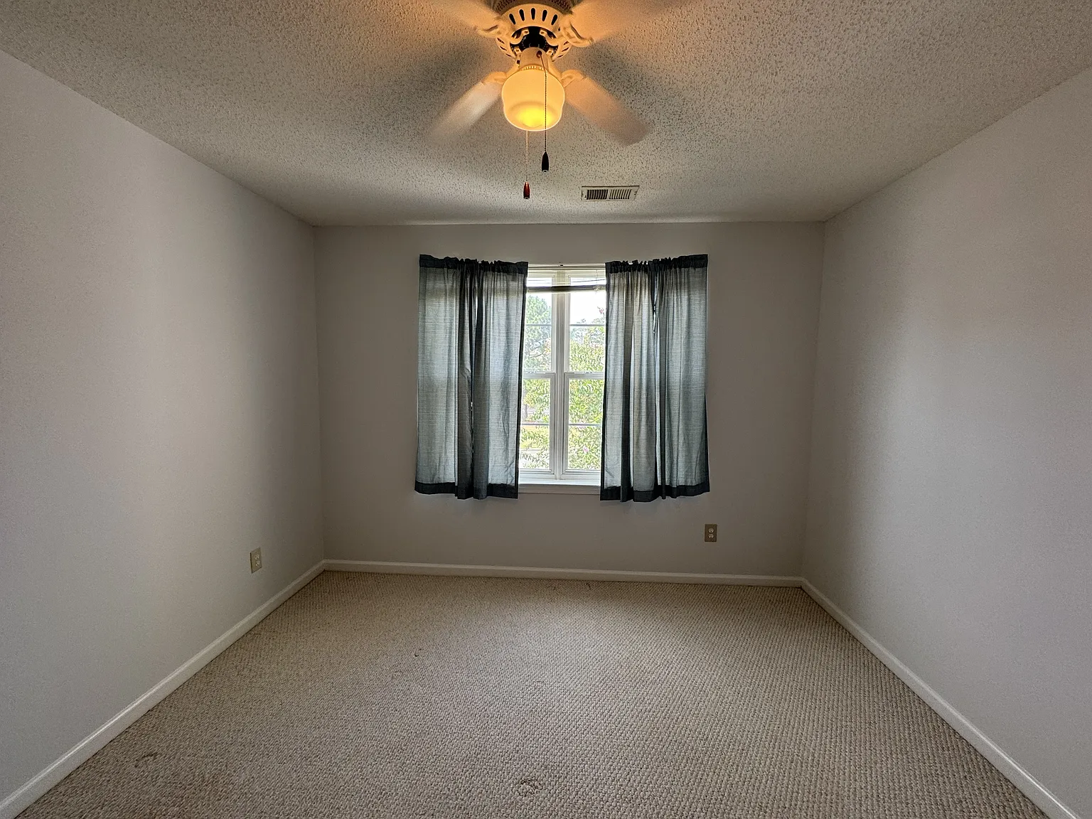 3511 Crepe Myrtle Ct - 1 — Photo 4