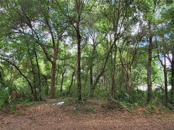 Lakeview Dr Lot 7, Eustis, FL 32736