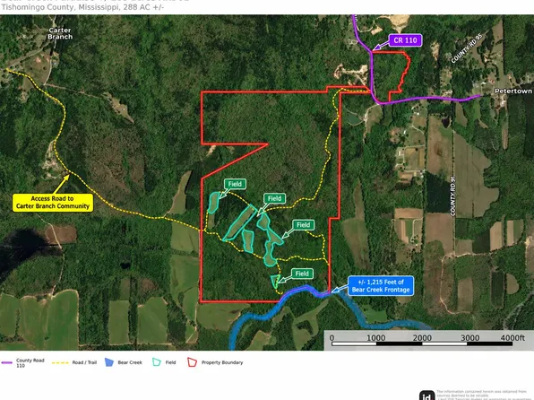County Road 110, Tishomingo, MS 38873