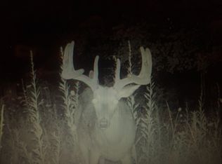 23470 Orion St NE, Stacy, MN 55079