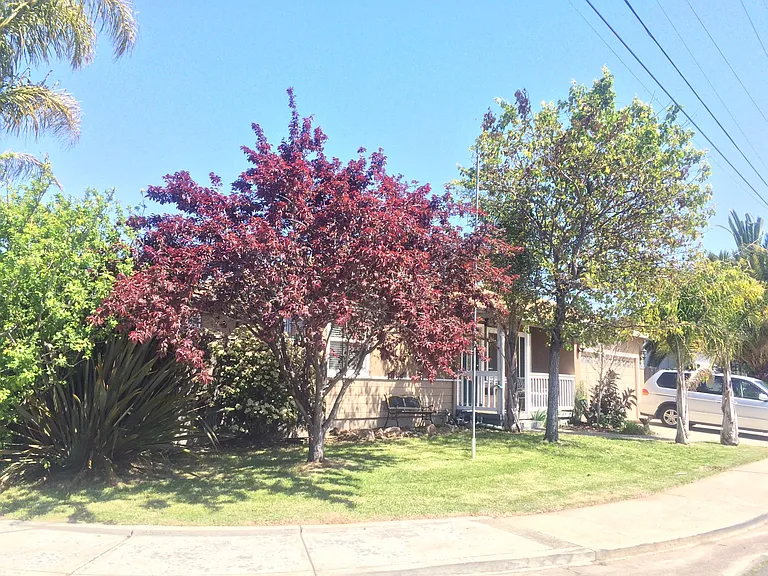 Gribben Ave — Photo 1