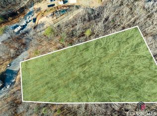0 Wood Ln, Blue Ridge, GA 30513