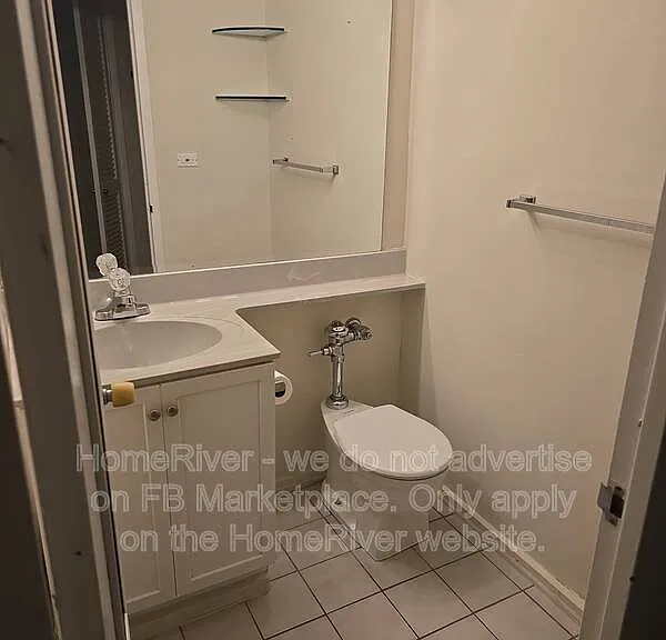21 W Goethe St #4E — Photo 11