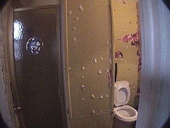master bath and shower