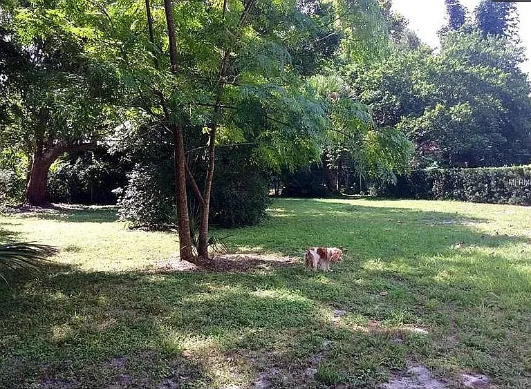 Large back yard.