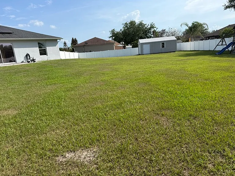 Backyard on 1/2 acre of land