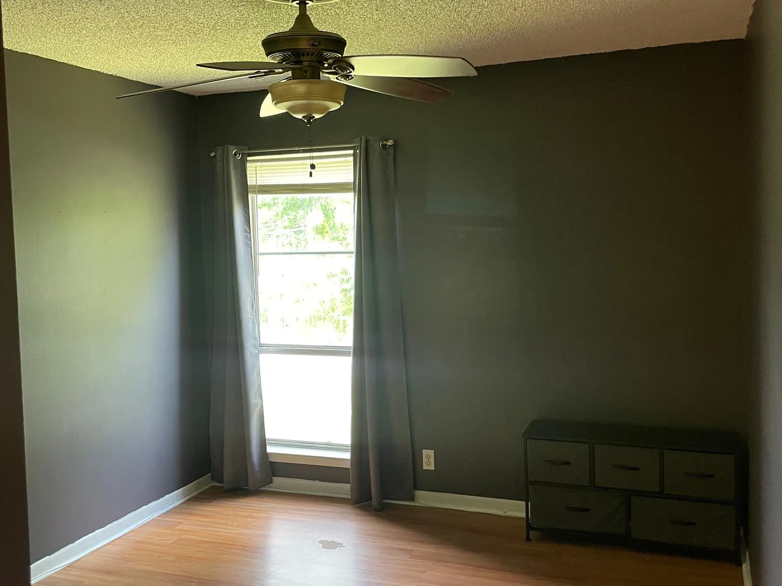 515 Basswood Ave — Photo 3