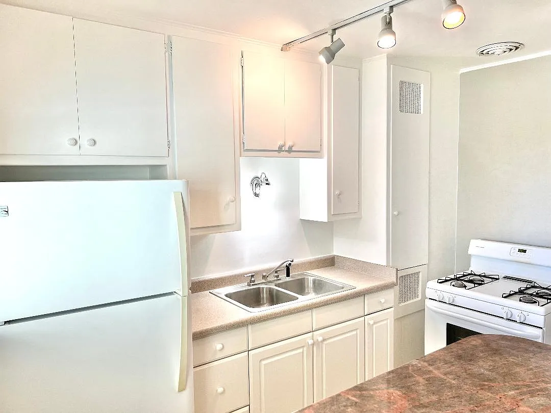 Building Photo - 1500 Laguna St #1