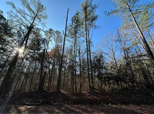 LOT 1 Saggus Rd, Washington, GA 30673