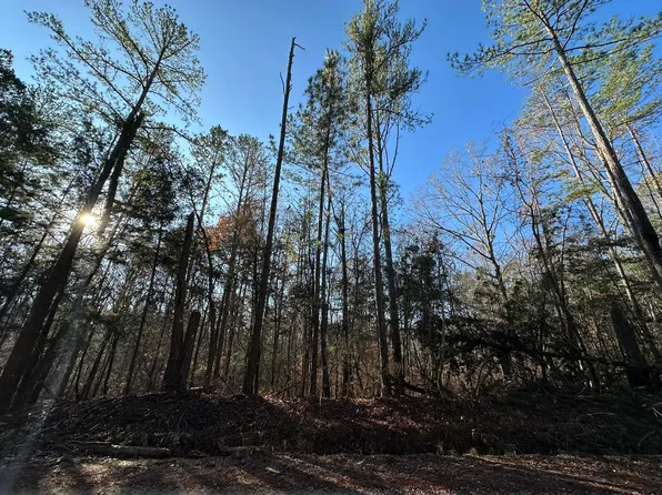 LOT 1 Saggus Road, Washington, GA