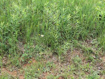 Parcel 089.03 Cordell Hull Dr, Morristown, TN, 37814
