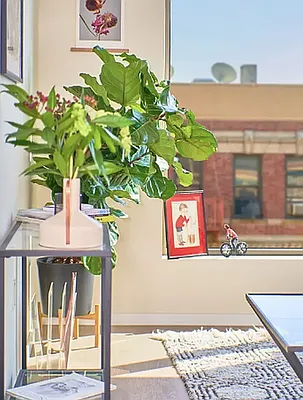 Rented by Living New York | media 13