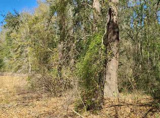 Vacant Se Disston Trl, Lee, FL 32059