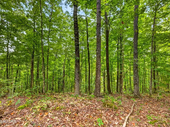 27 Timber Ridge Ln, Celina, TN 38551