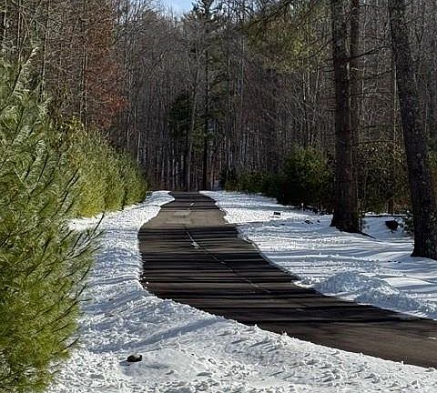 3rd image of 38 Sonterra Dr