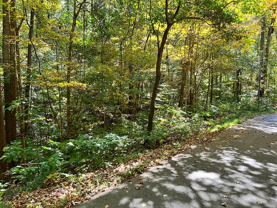 1875 Dyer Hollow Rd, Mohawk, TN 37810 MLS 9944476 Zillow
