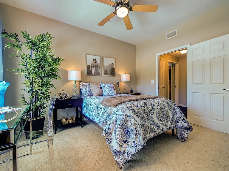 Callista Hill Country Apartments — Photo 11