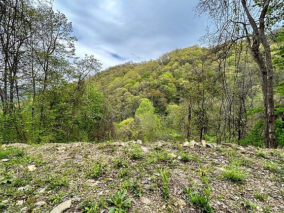 4th image of 61 Huckleberry Walk