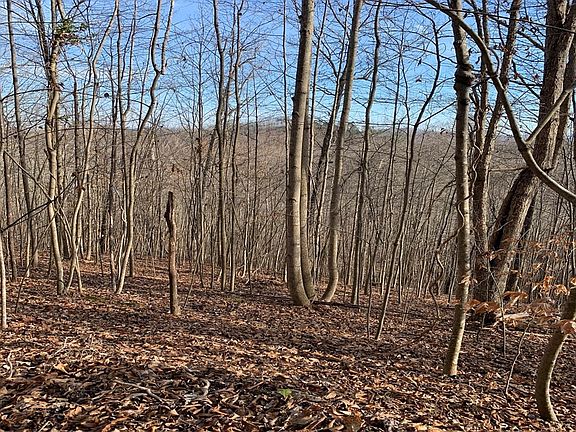 3rd image of 161 Whistle Valley Rd