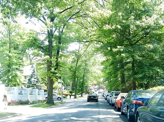 Sold by Better Homes & Gardens FH Realty | media 36