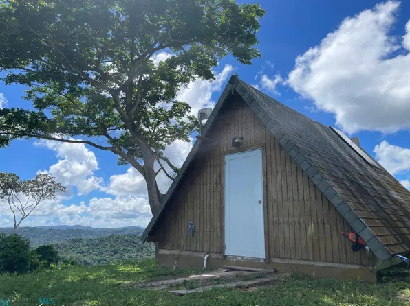 913 La Ceiba #1, San Lorenzo, PR 00754