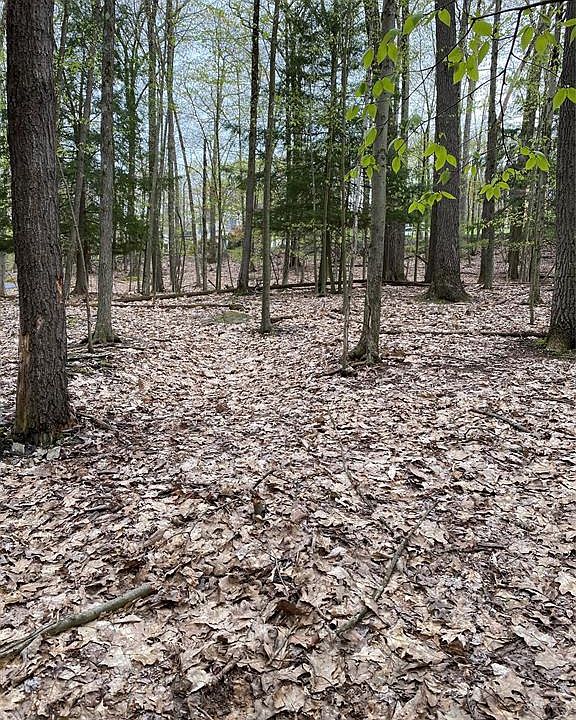2nd image of 3353 Laurie Brook Dr