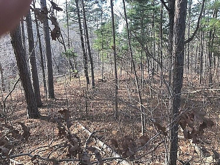 2nd image of Dunholme Dr