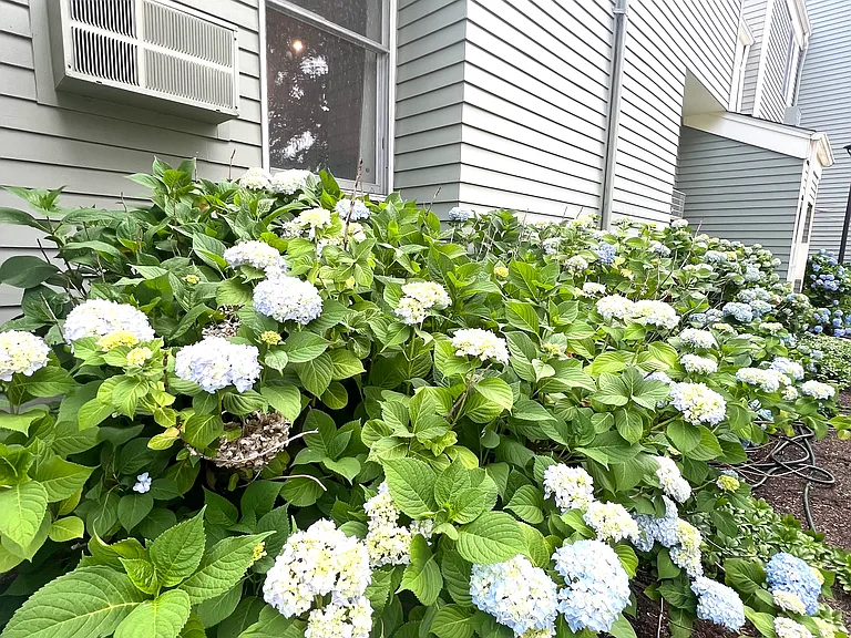 274 S Main St #26 — Photo 16