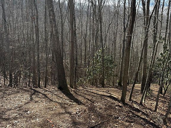 2nd image of 236 Down The Hill Rd