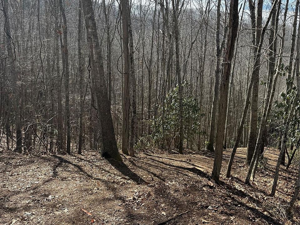 2nd image of 236 Down The Hill Rd