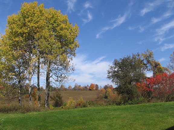 back field
