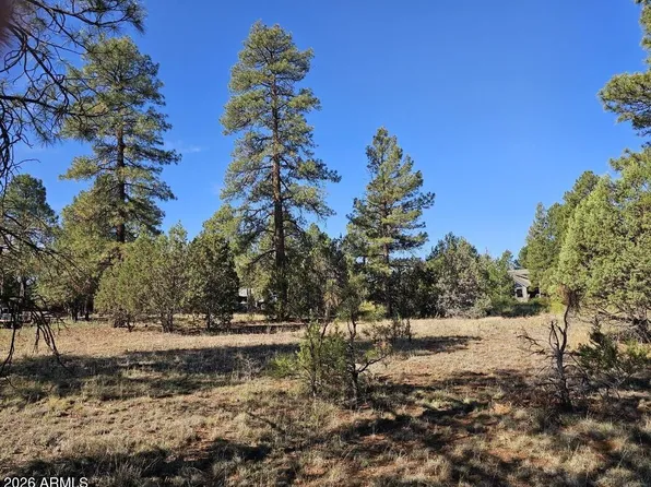 2236 MOCCASIN Drive #208, Overgaard, AZ 85933
