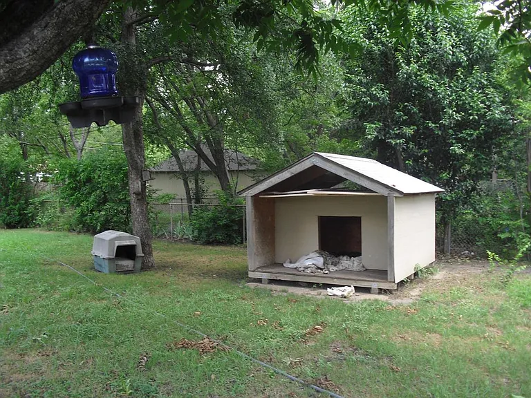 Huge Dog House