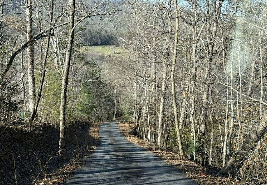 Exterior Neighborhood (street photo)