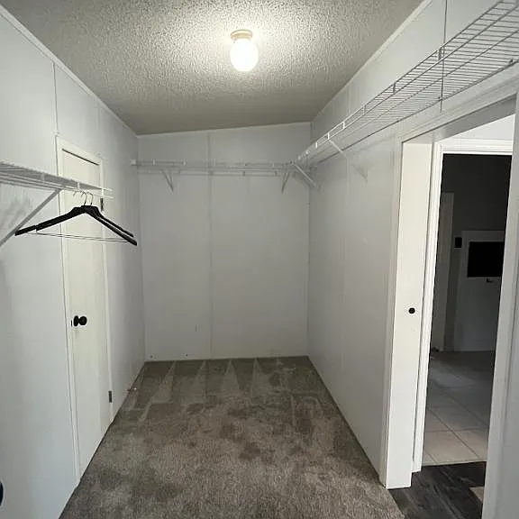 1054 County Road 257 — Photo 9