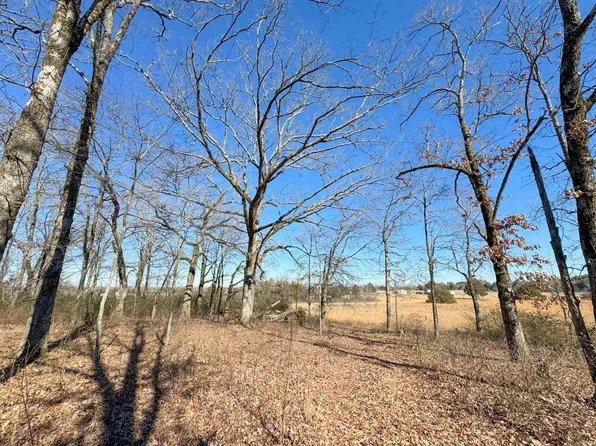 102 Purple Martin Ln, Mount Vernon, AR 72111