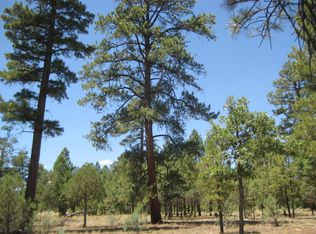 2264 Gila Cir, Happy Jack, AZ 86024