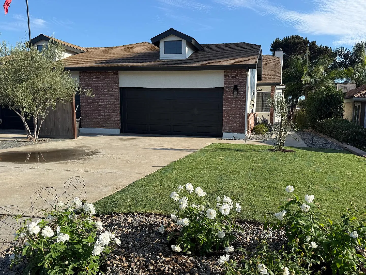 2503 Levante Street — Photo 2