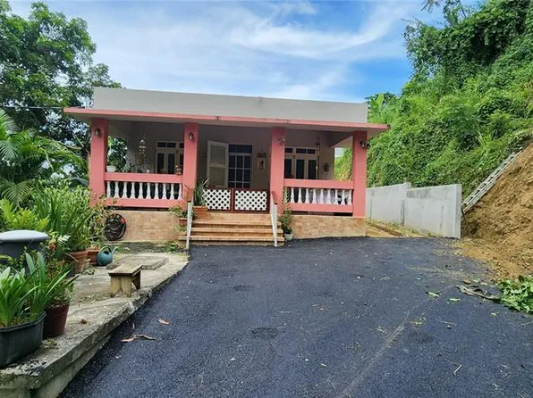 Casrr 829 Bo Dajaos Sector, Bayamon, PR 00956