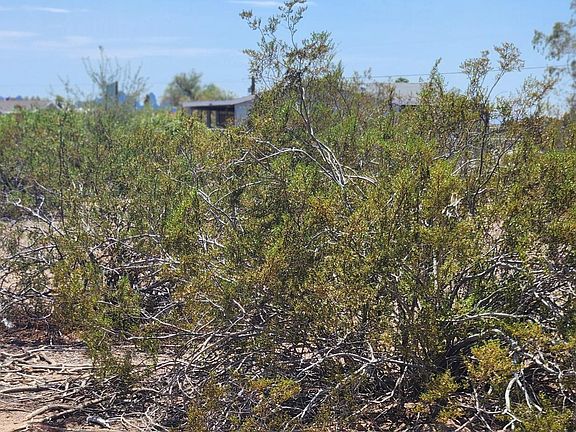 4th image of 12874 S PIMA Parkway #22