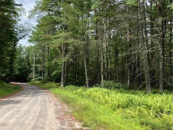 Trout Pond Road Tr 288 Trail, Narrowsburg, NY 12764