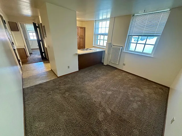 133 S Mill St #401 — Photo 2