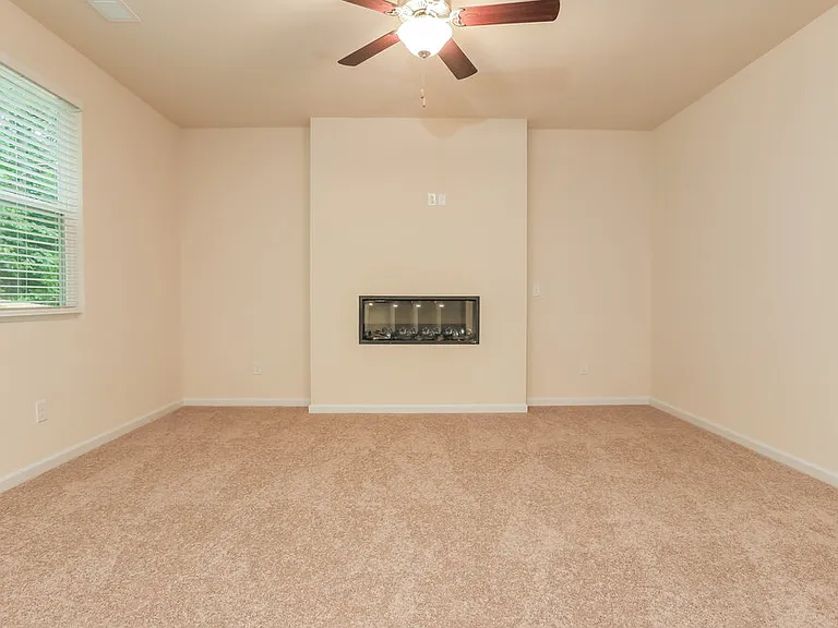 203 Hamilton Pointe Dr — Photo 4